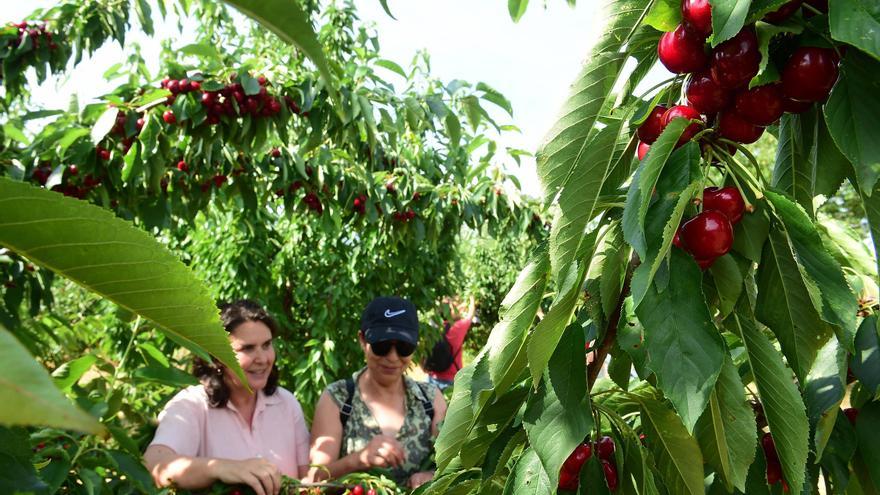 Extremadura: un campo abierto a la transformación