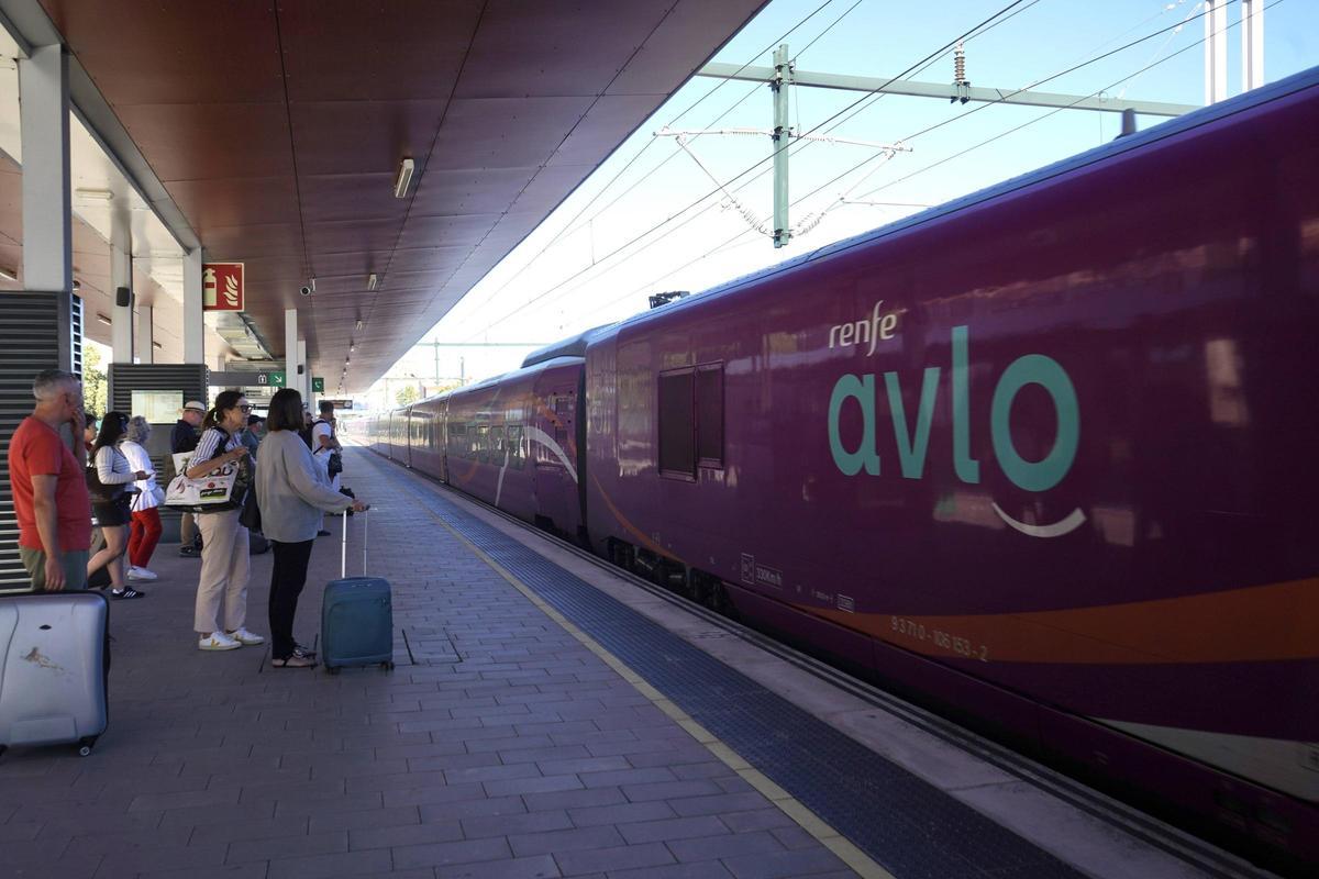 Tren Avlo en Zamora