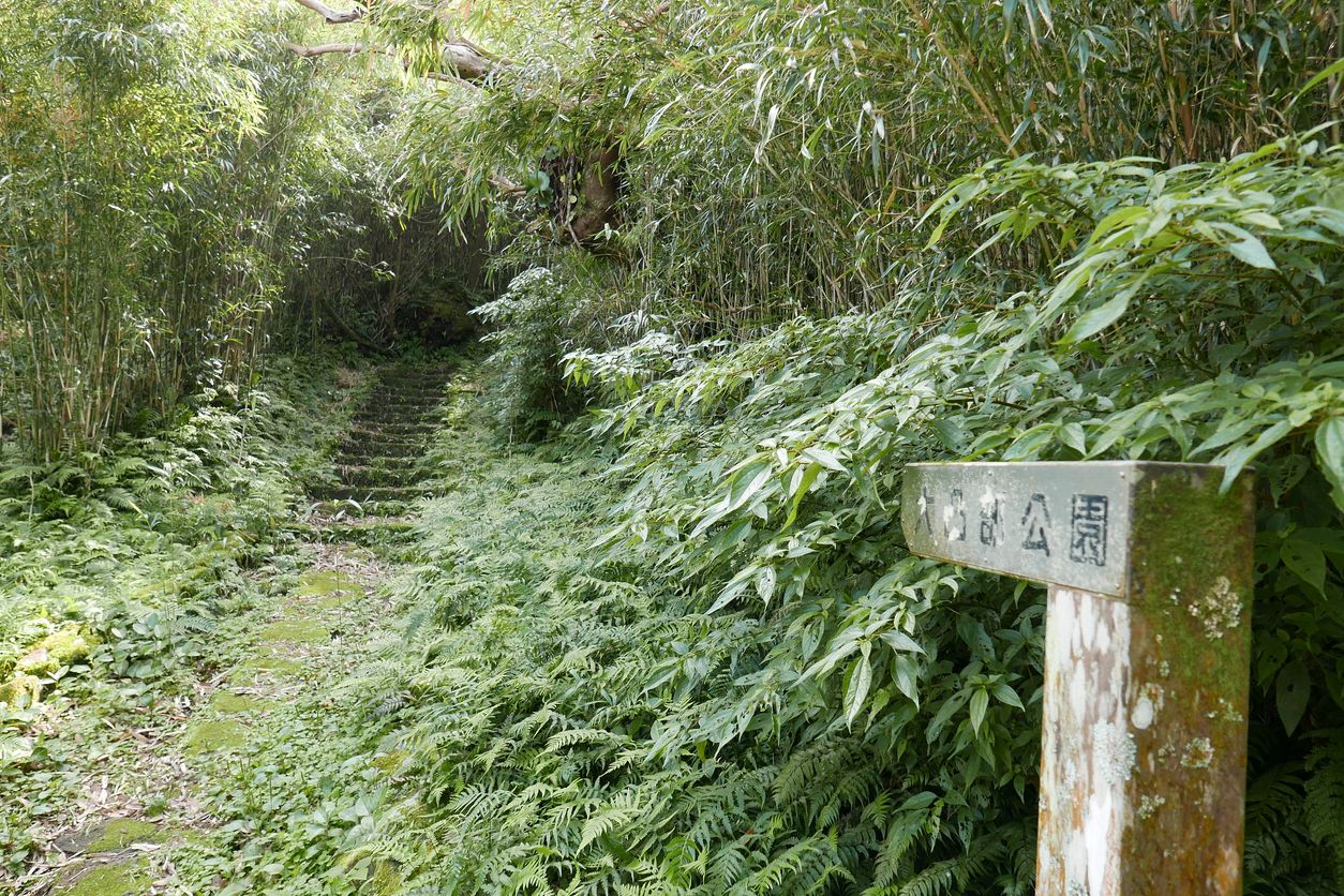 Aogashima recuerda a la isla de Parque Jurásico.