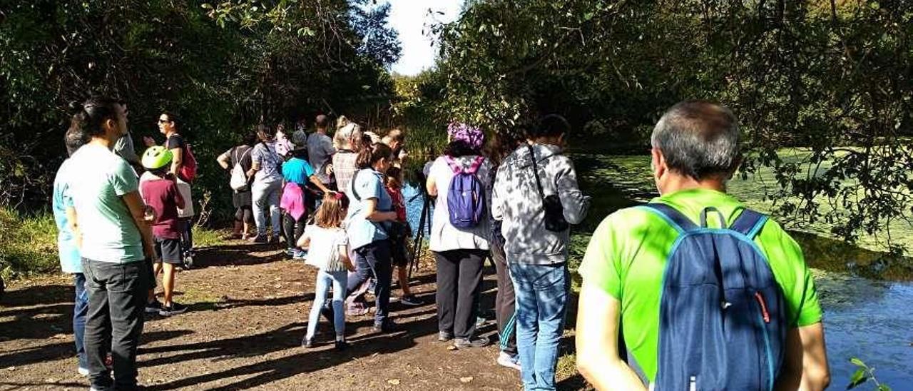 El grupo que participó ayer en el avistamiento y anillamiento de aves en la Lagoa de Massó. // S.Á.