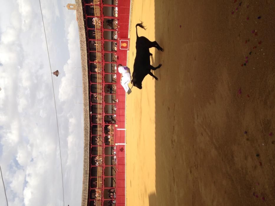 Fiestas Toro- concurso de jóvenes cortadores