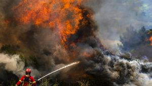 Uns 800 efectius de bombers de Portugal combaten contra 11 incendis actius al país