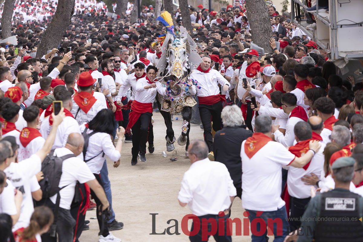 Así se ha vivido la carrera de Los Caballos del Vino en Caravaca