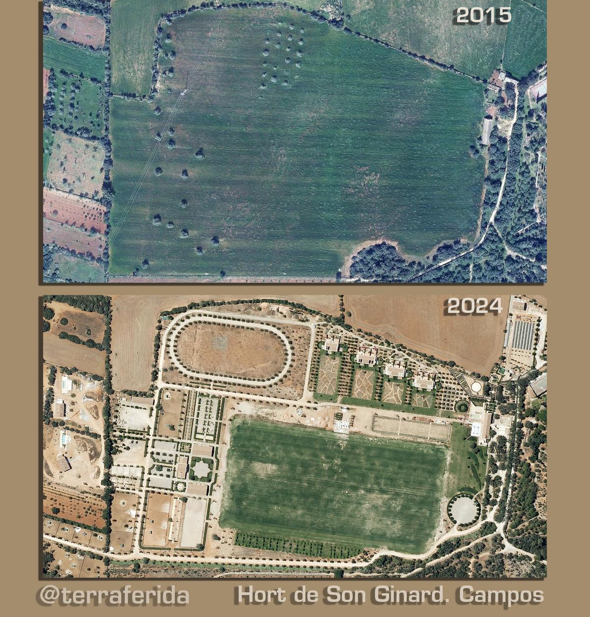 El antes y el después de la finca de s'Hort de Son Ginard, en Campos, donde ahora hay un campo de polo