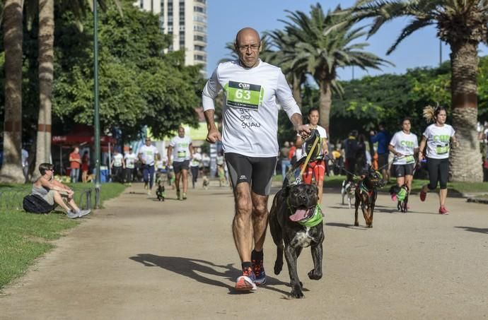 16/12/2018 LAS PALMAS DE GRAN CANARIA. Carrera ...