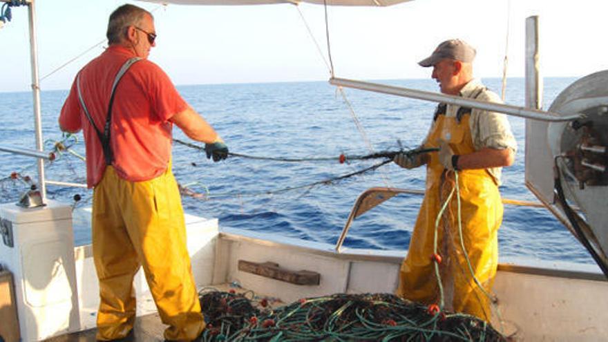 &quot;El mar no es inagotable&quot;, denuncia Oceana.