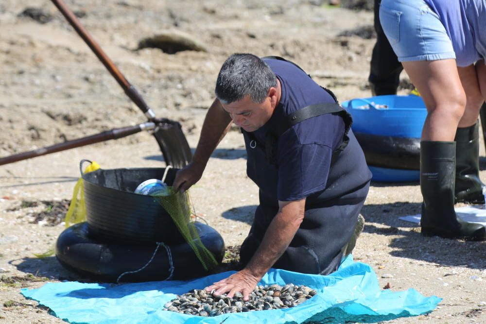 Marisqueo en Arousa