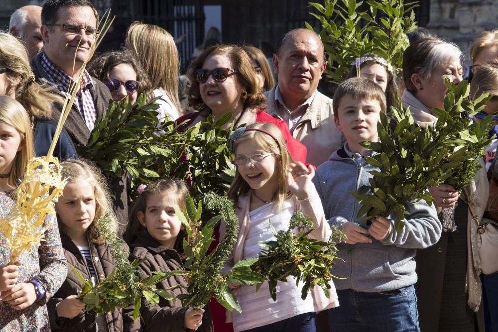 Bendición de ramos en la plaza de la Catedral