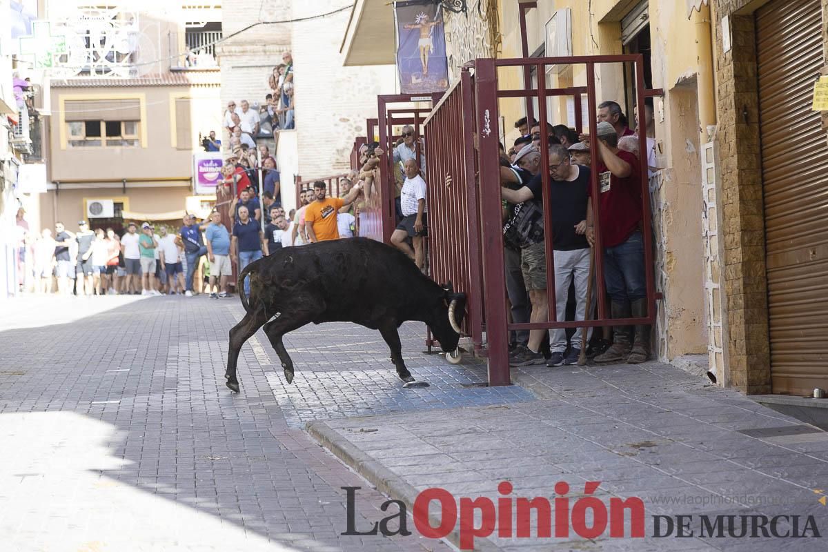 Cuarto encierro en las Fiestas de Moratalla