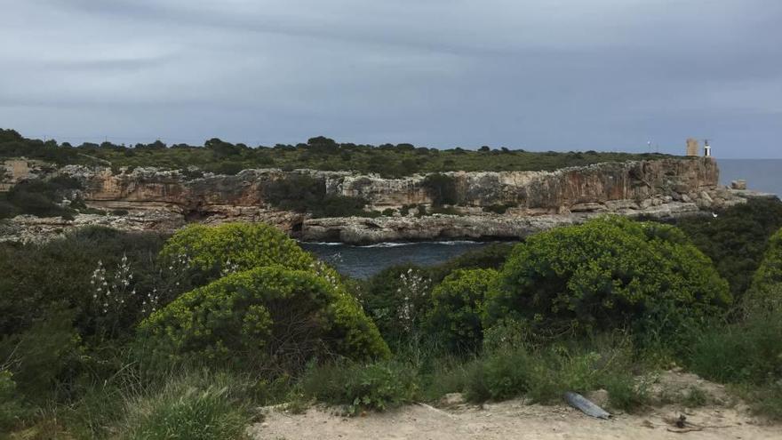 Los solares afectados de Cala Figuera se hallan en primera línea y ocupan, cada uno, 1.200 metros cuadrados.