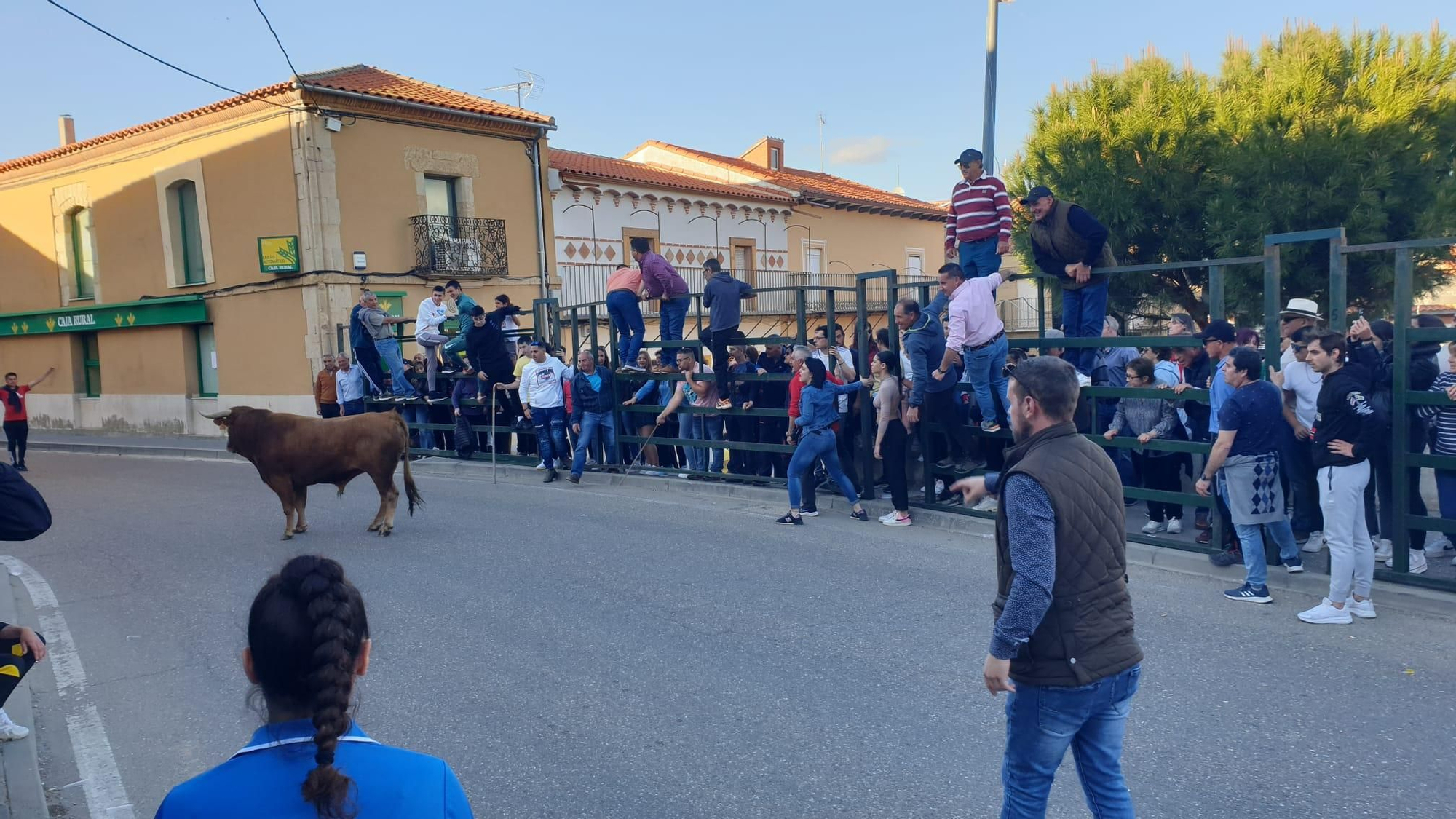 Encierro en la Bóveda de Toro