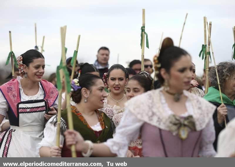 La romeria de 'les canyes' en imágenes