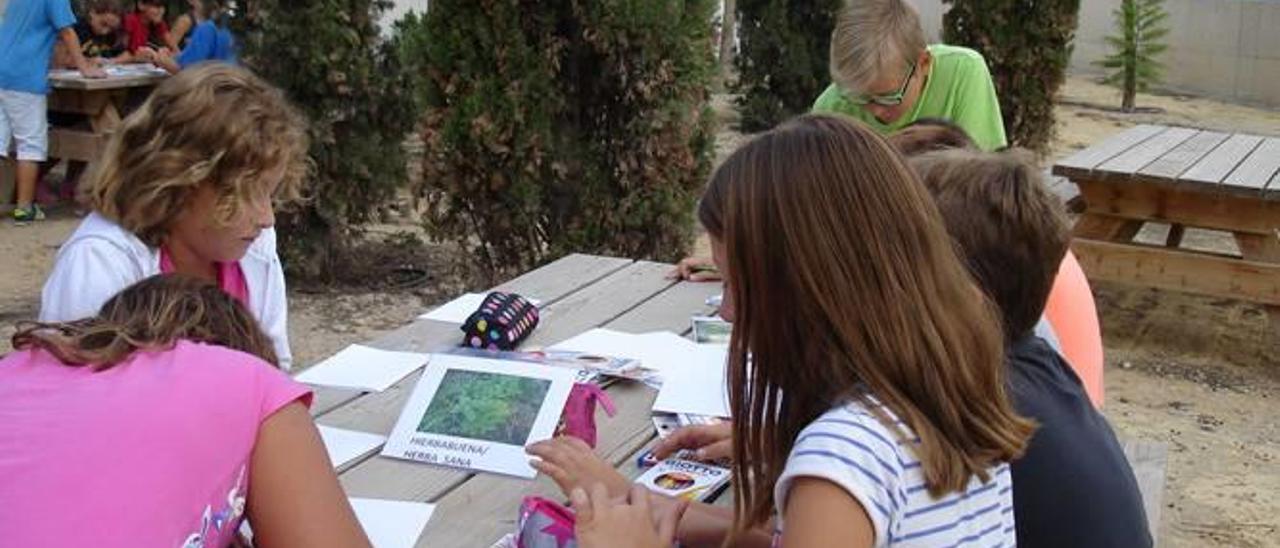 Nou curs a l&#039;Hort Escolar de Sant Gabriel a Alacant