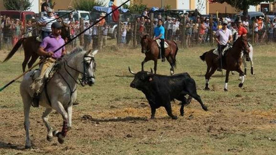 Cinco toros dieron juego en la pradera de El Arredal.