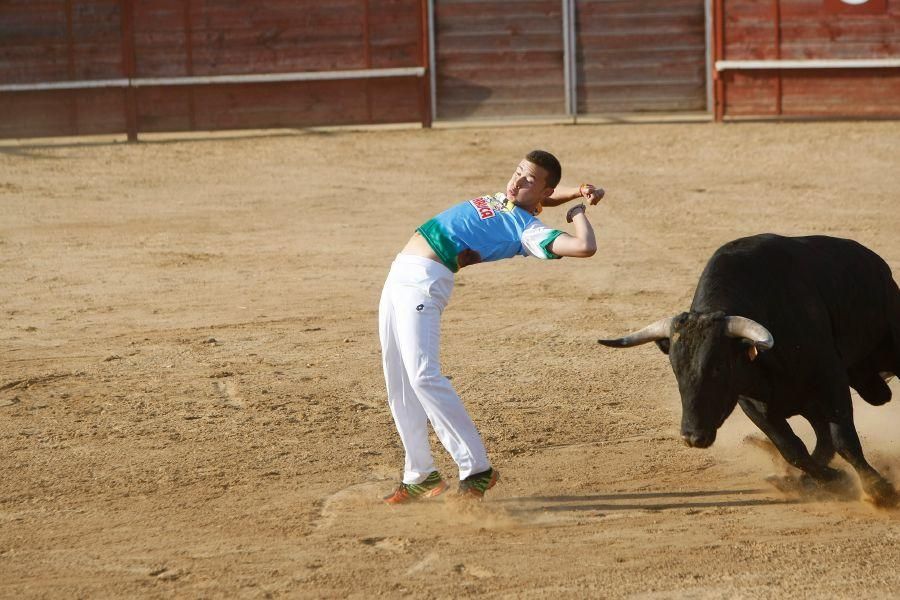 Fiestas en Zamora: Recortes en Villalpando