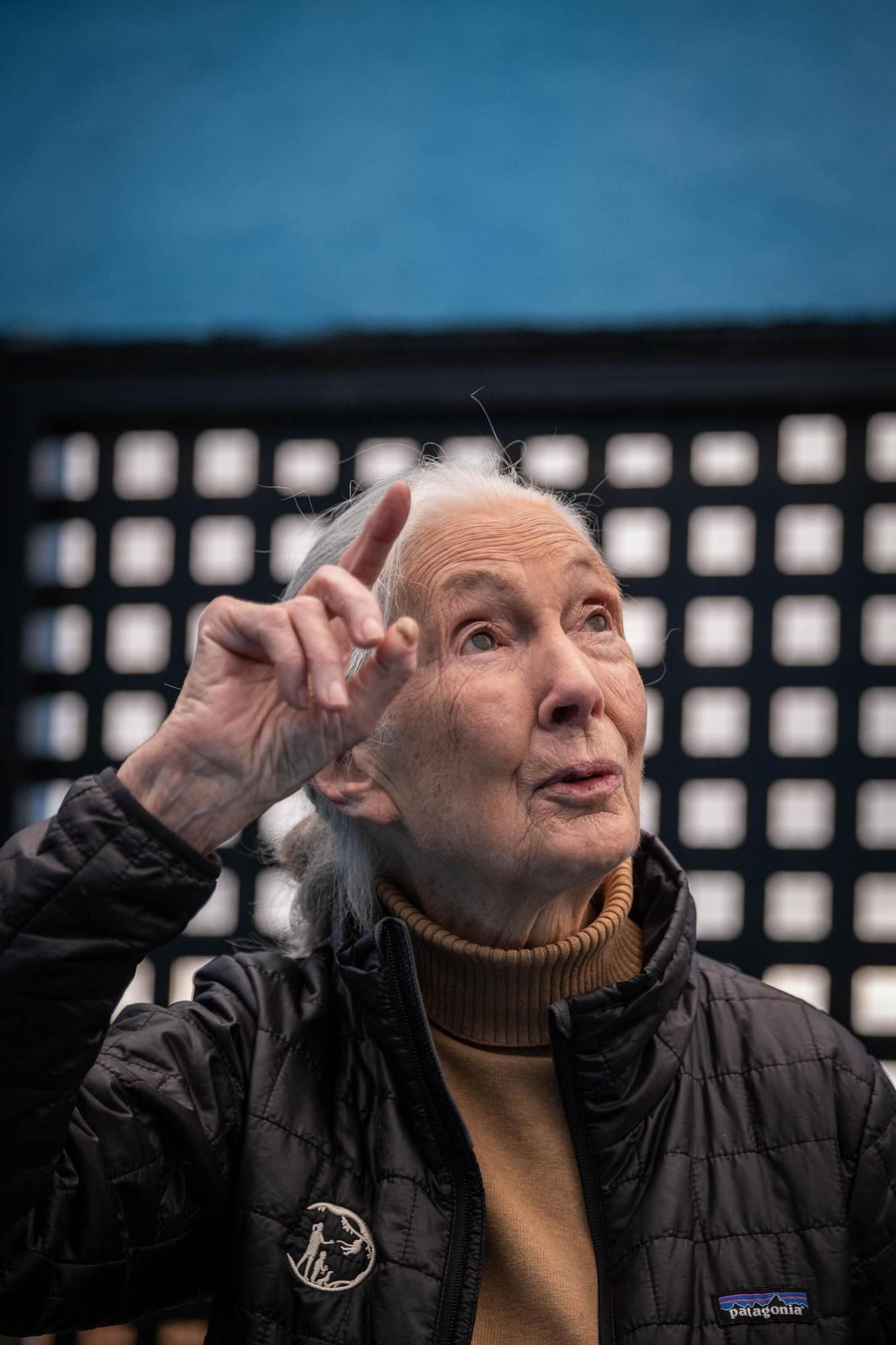 Jane Goodall visita distintos lugares en Tenerife