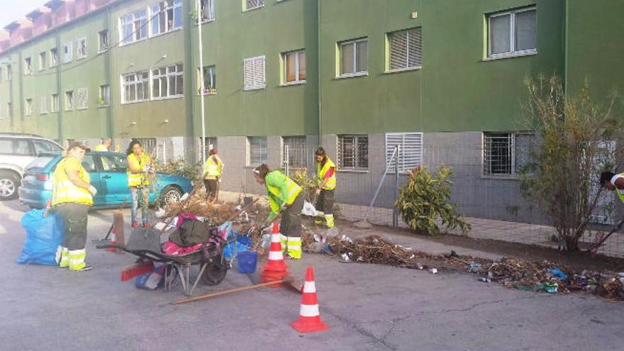 Trabajo de choque en La Herradura y Los Cascajos de Jinámar