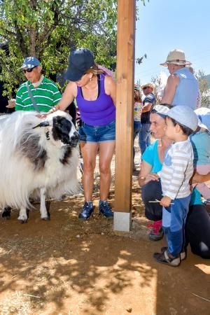 Festival de Sostenibilidad y Cultura, Soltura en Valsequillo