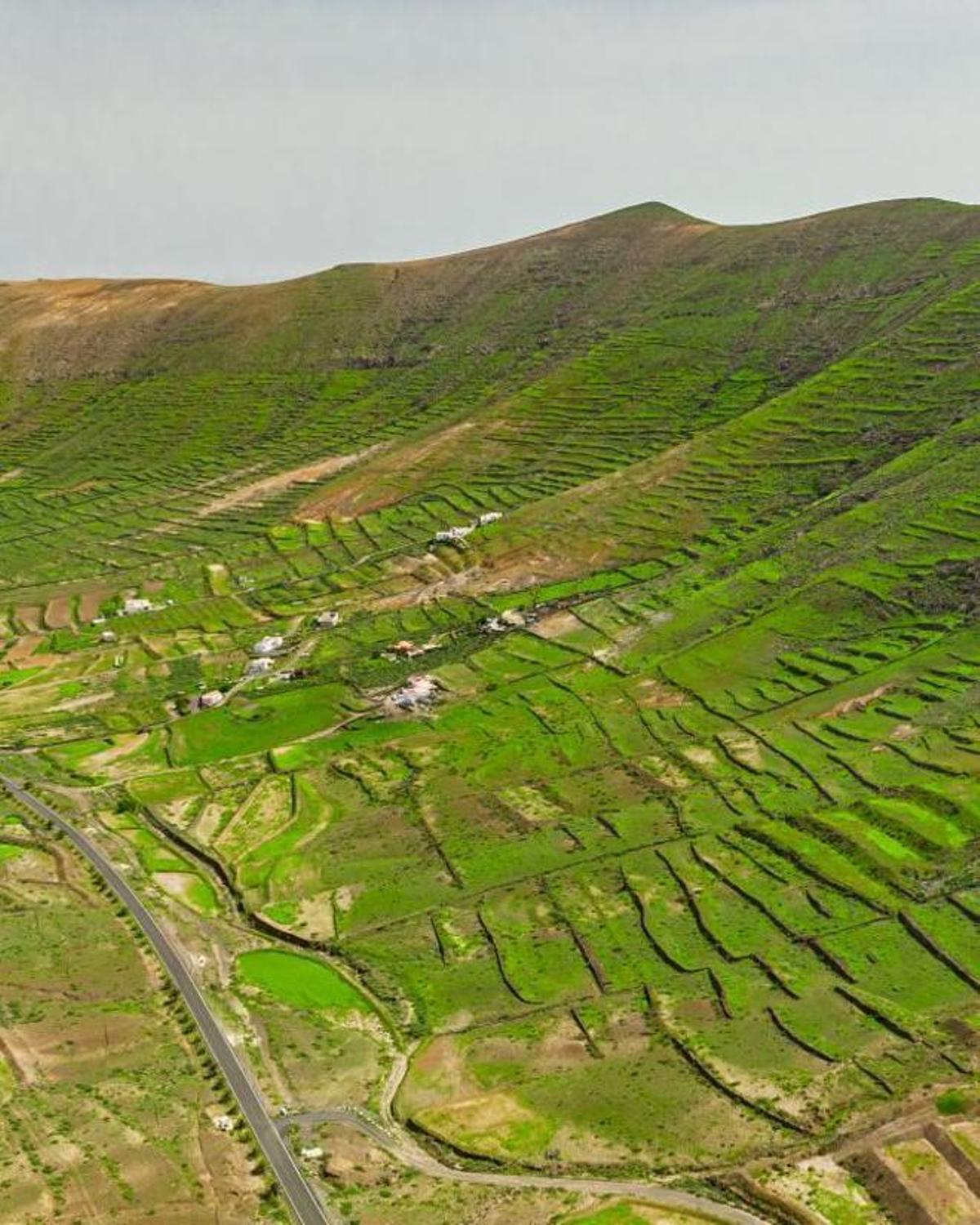 Fuerteventura verde
