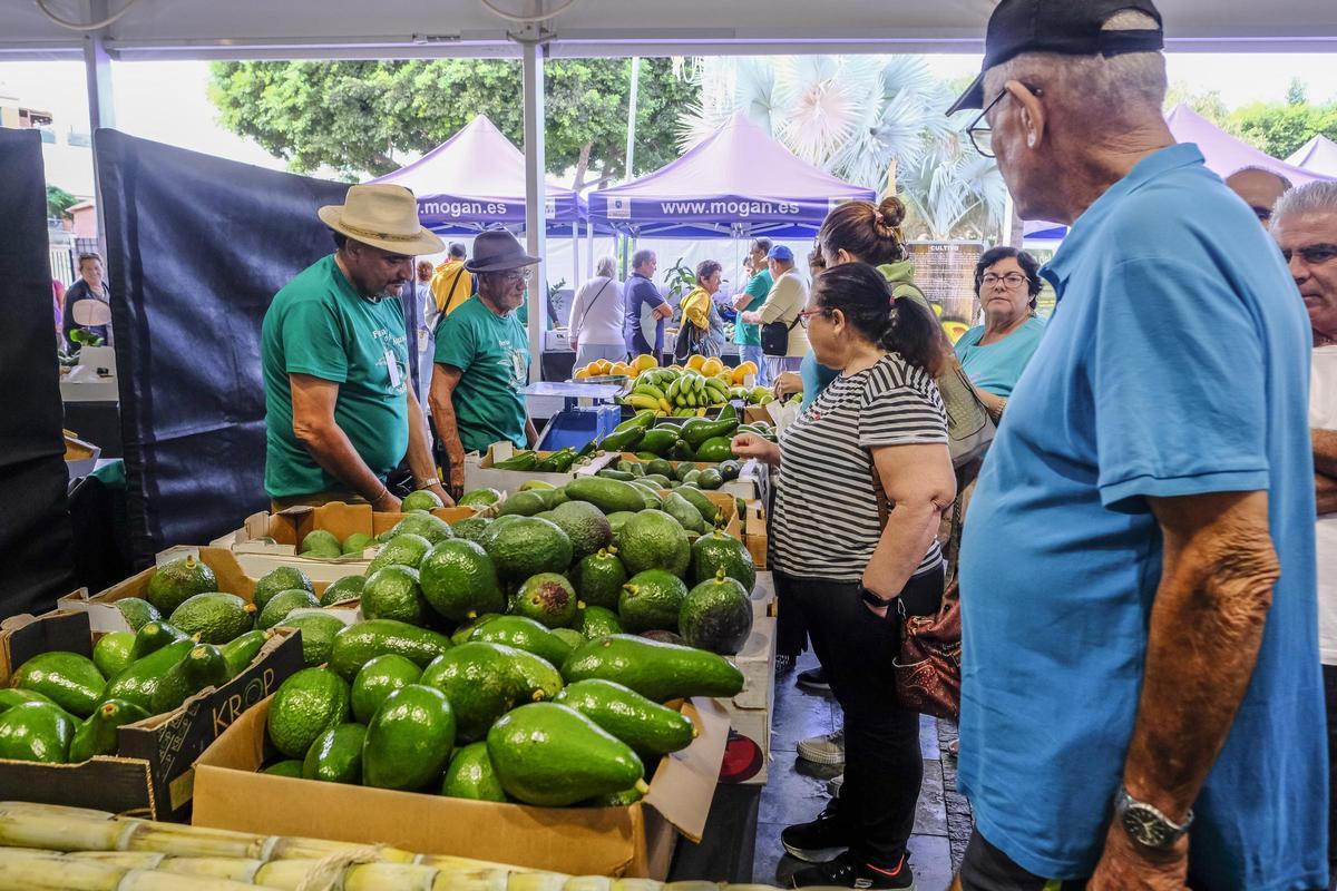 Feria del Aguacate de Mogán