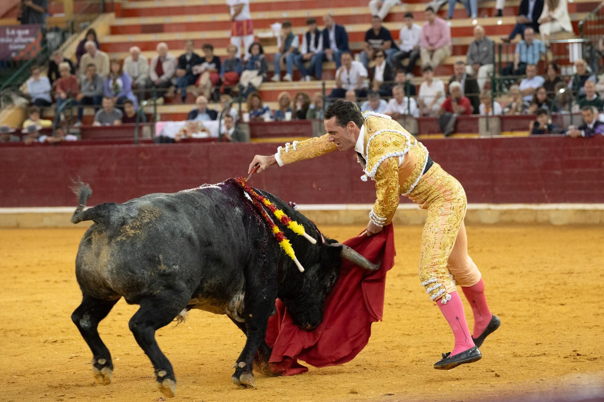 Concurso de ganaderías de la Feria del Pilar