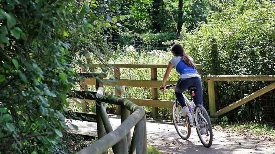 Una ciclista por una ruta en Granda. | Marcos León