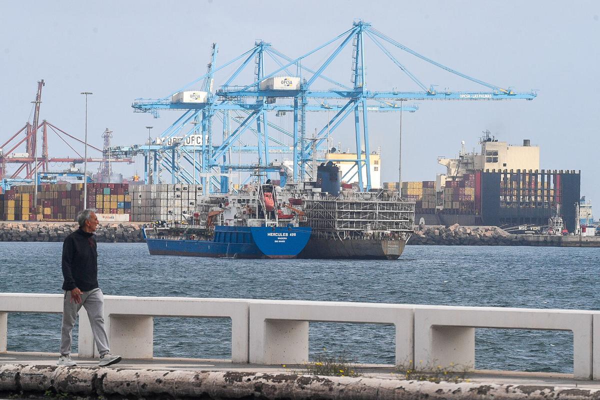 Barco 'Zein I', fondeado cargado de vacas en el Puerto de Las Palmas Barco 'Zein I', fondeado cargado de vacas en el Puerto de Las Palmas