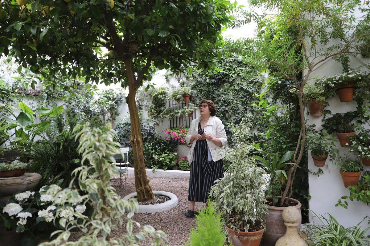 Purificación, en el patio verde del fondo de la iglesia del Juramento.