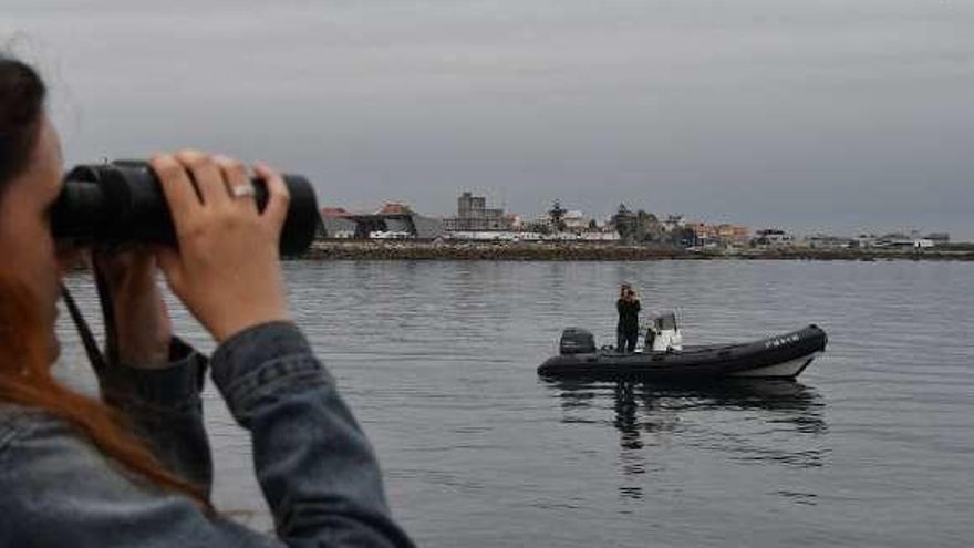 Miembros del BDRI en una jornada de observación, en Arousa.