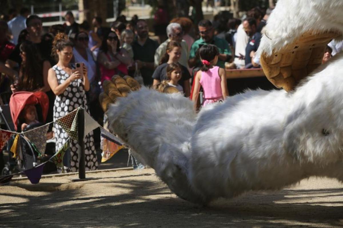 Último dia de Mercè en el Parc Joan Miró