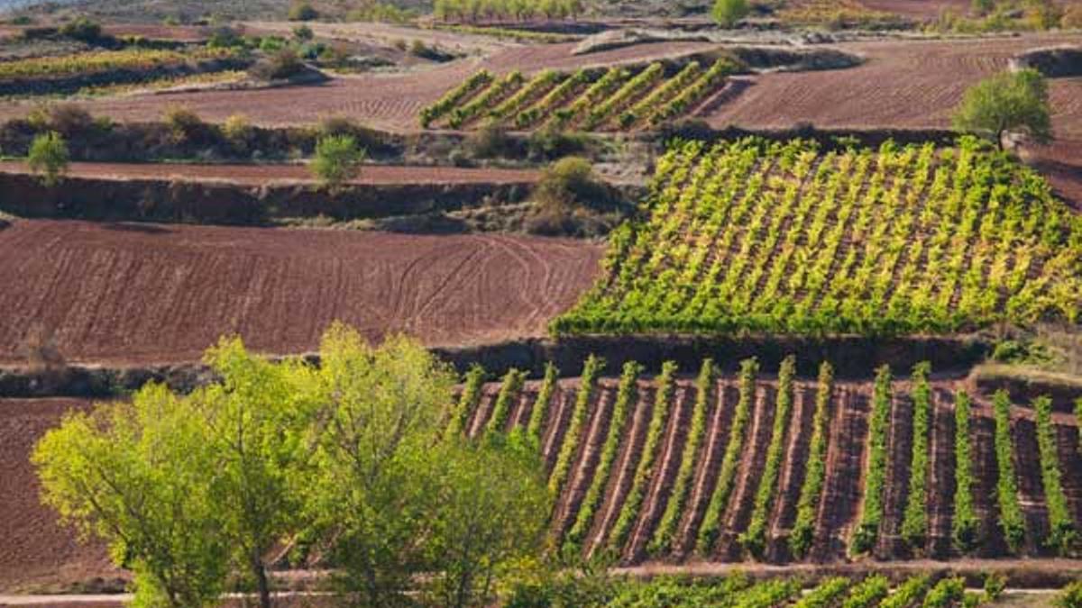 La Rioja