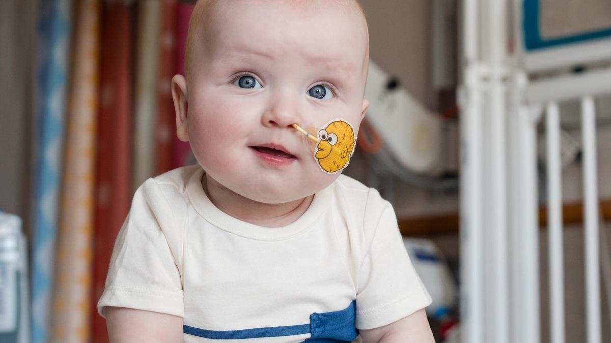 La revista 'Nature' selecciona las imágenes más bonitas de la ciencia en 2025