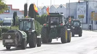 Malestar del campo: los tractores llegan al centro de Castelló en una nueva jornada de protestas