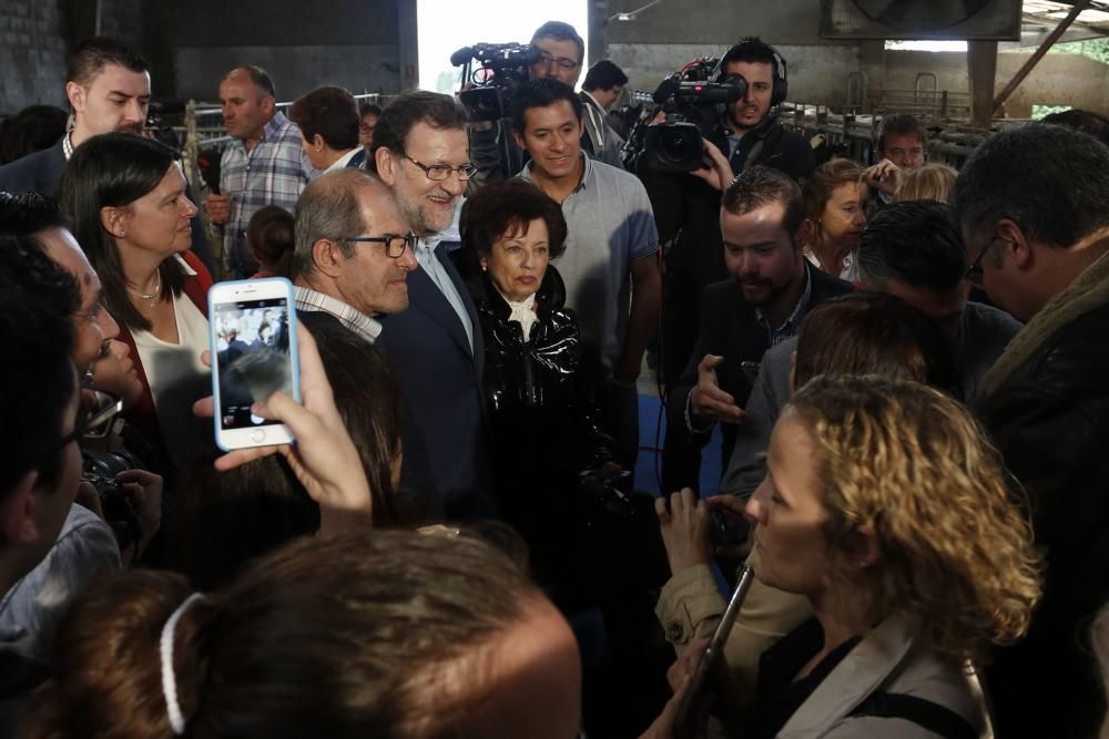 Visita de Mariano Rajoy a una ganadería en Gozón (Asturias)