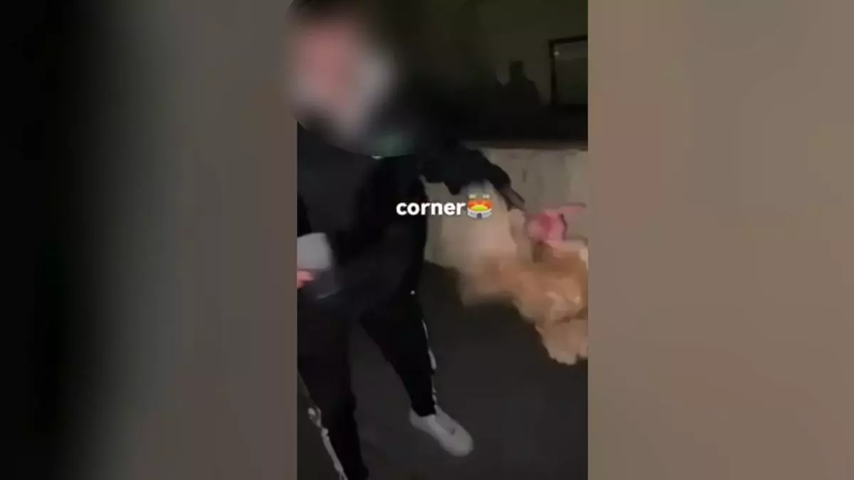 Vídeo | Investigados por utilizar gallinas como balones de fútbol en las fiestas de un pueblo de La Rioja