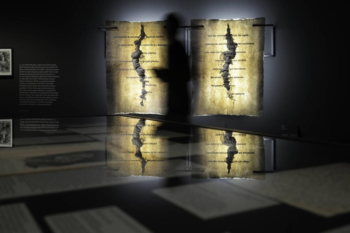 Barcelona 04/12/2025 Exposición «Rodoreda, un bosque» sobre Mercè Rodoreda en el CCCB Fotografía de Ferran Nadeu