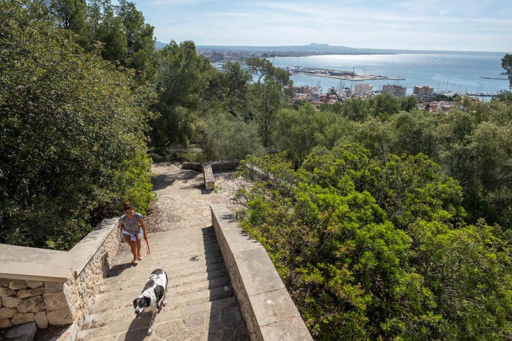 Die Parks in Palma de Mallorca sind wieder geöffnet