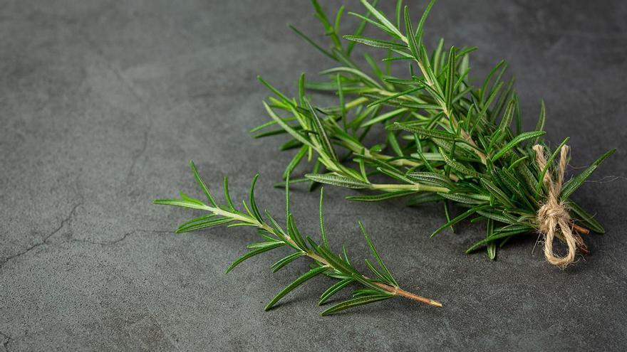 Rosemary Sleep Tips | Burn a sprig of rosemary before bed: a ritual that more and more people are doing