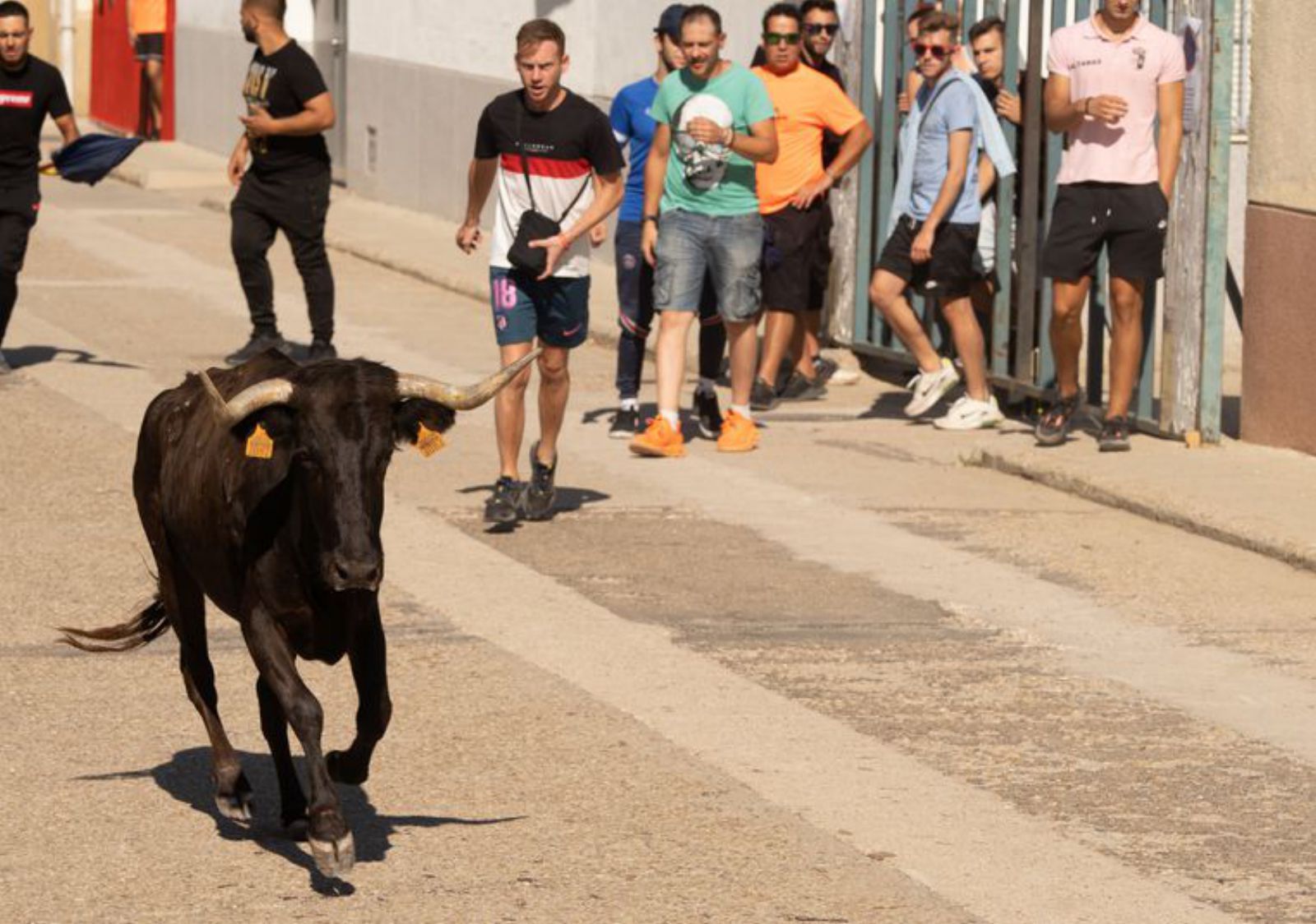 Carreras taurinas por las calles de Villaralbo 