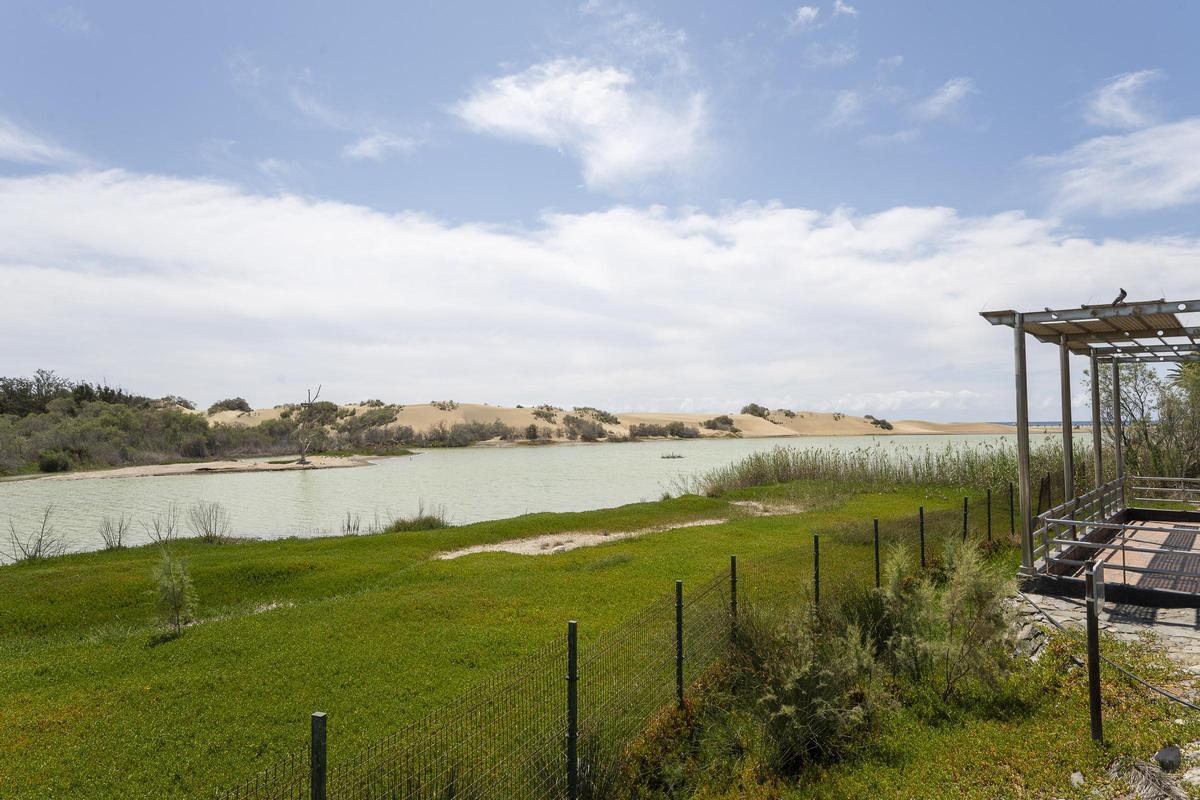 Imagen de la Charca de Maspalomas.
