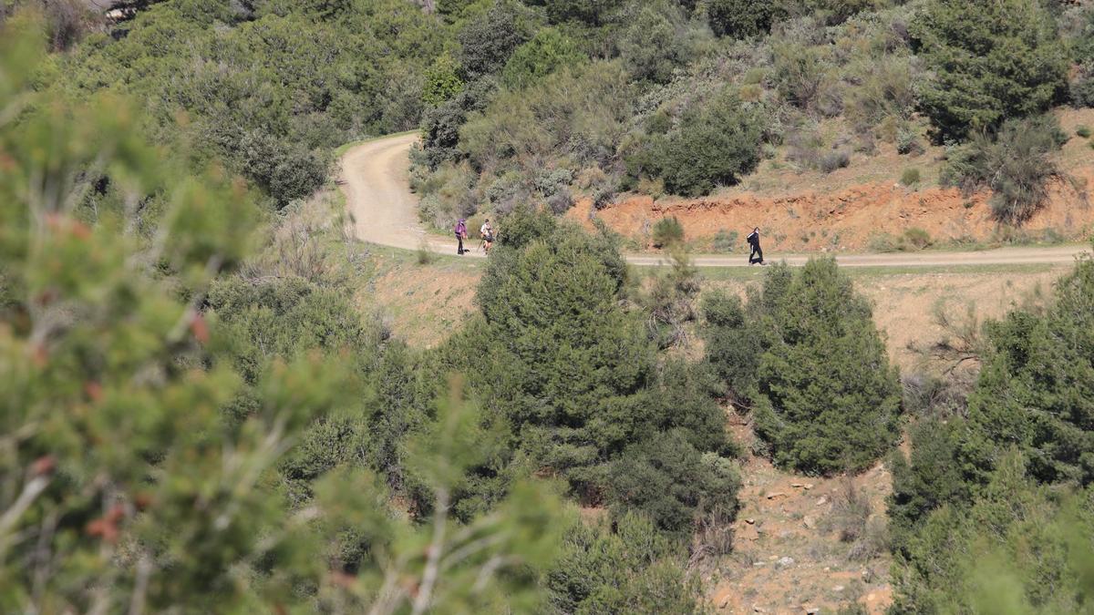 Senderistas en Los Montes de Málaga.