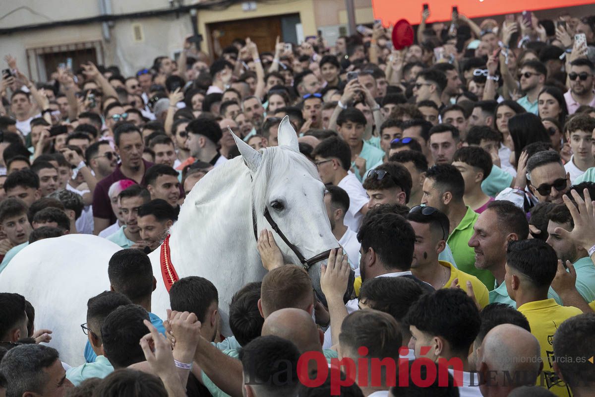 Fiestas de Caravaca | Entrega de premios del concurso morfológico