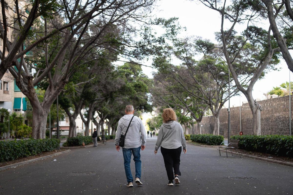 Rambla de Santa Cruz antes de la tala de los laureles de indias.