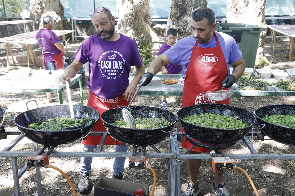 Padrón se rinde al pimiento de Herbón: 3.000 raciones para una fiesta multitudinaria Padrón se rinde al pimiento de Herbón: 3.000 raciones para una fiesta multitudinaria