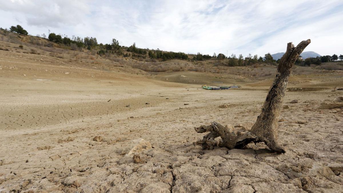 El embalse de la Viñuela sigue bajo mínimos históricos y arroja la peor cara de la pertinaz sequía que sufre la Costa del Sol. | ÁLEX ZEA