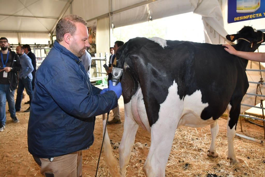 Arranca la Feria Agroganadera de Los Pedroches