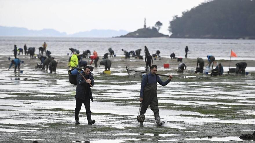 La Xunta calcula que harán falta «de dos a cuatro años» para la recuperación del marisqueo gallego