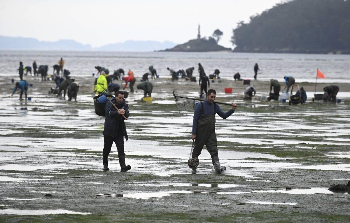 Vuelta del marisqueo a pie el pasado mes de marzo en la ría de Pontevedra.