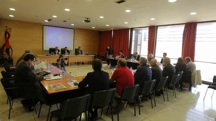 Un pleno del Consello Social de la Universidad de Vigo celebrado en el campus de Ourense. // Jesús Regal