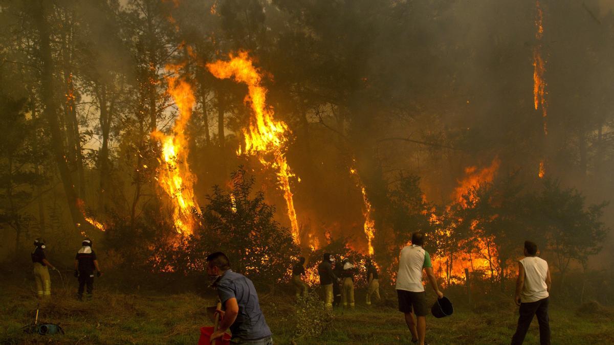 Grupo de vecinos trabajan en el incendio en la zona de Zamanes, en Vigo. 